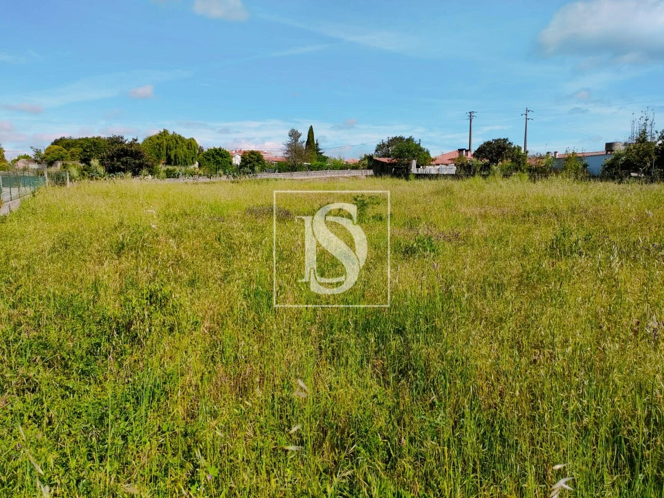 Terreno para Venda em Oiã Foto 1
