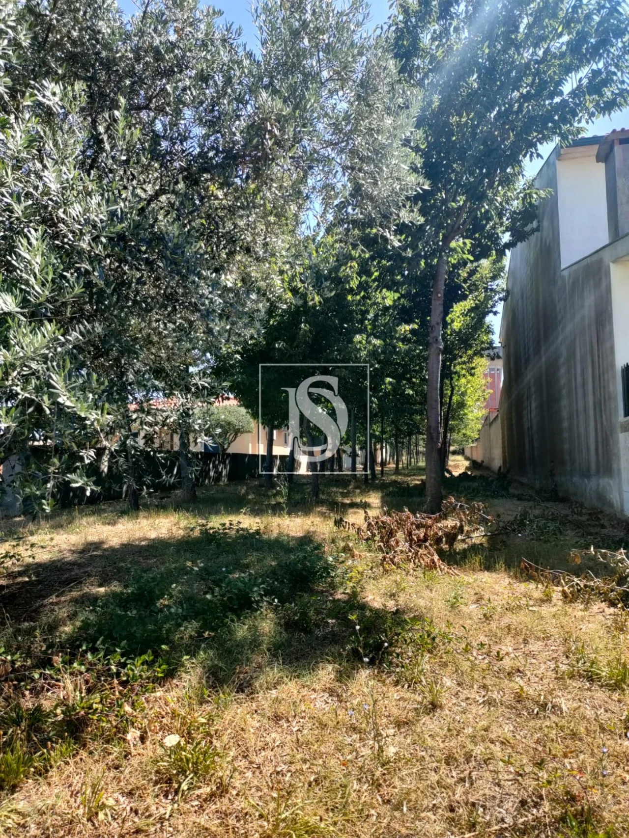 Terreno para Venda em Sangalhos Foto 4