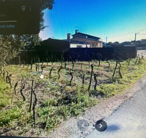 Terreno para Venda em Amoreira da Gândara, Paredes do Bairro e Ancas