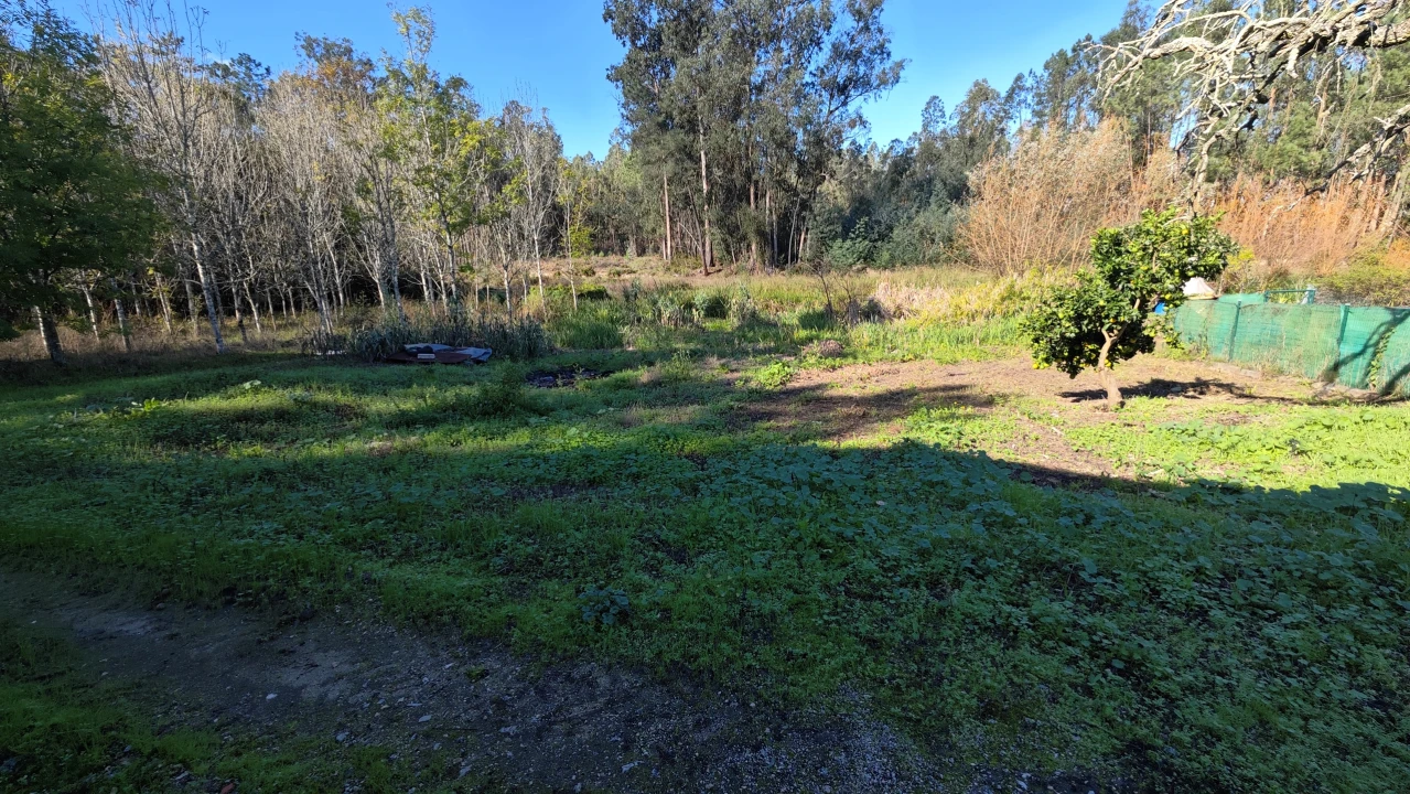Armazém para Venda em Vilarinho do Bairro Foto 7