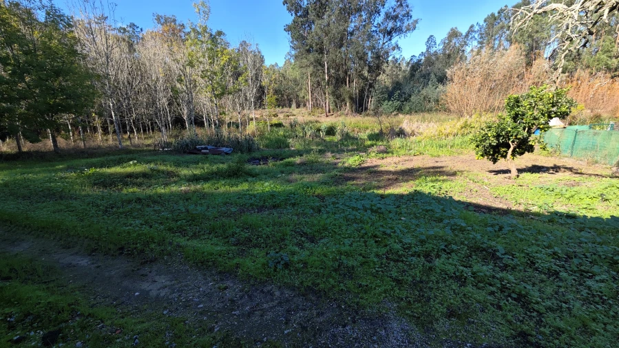 Armazém para Venda em Vilarinho do Bairro Foto 8
