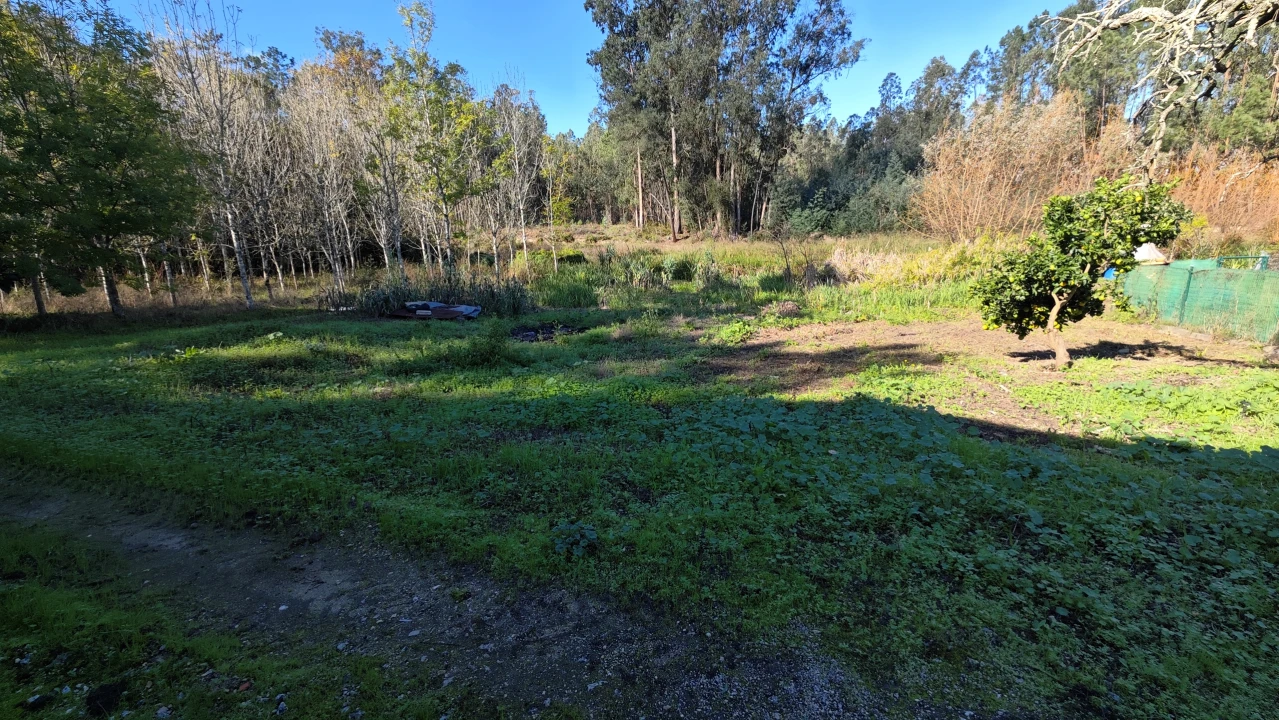Armazém para Venda em Vilarinho do Bairro Foto 8