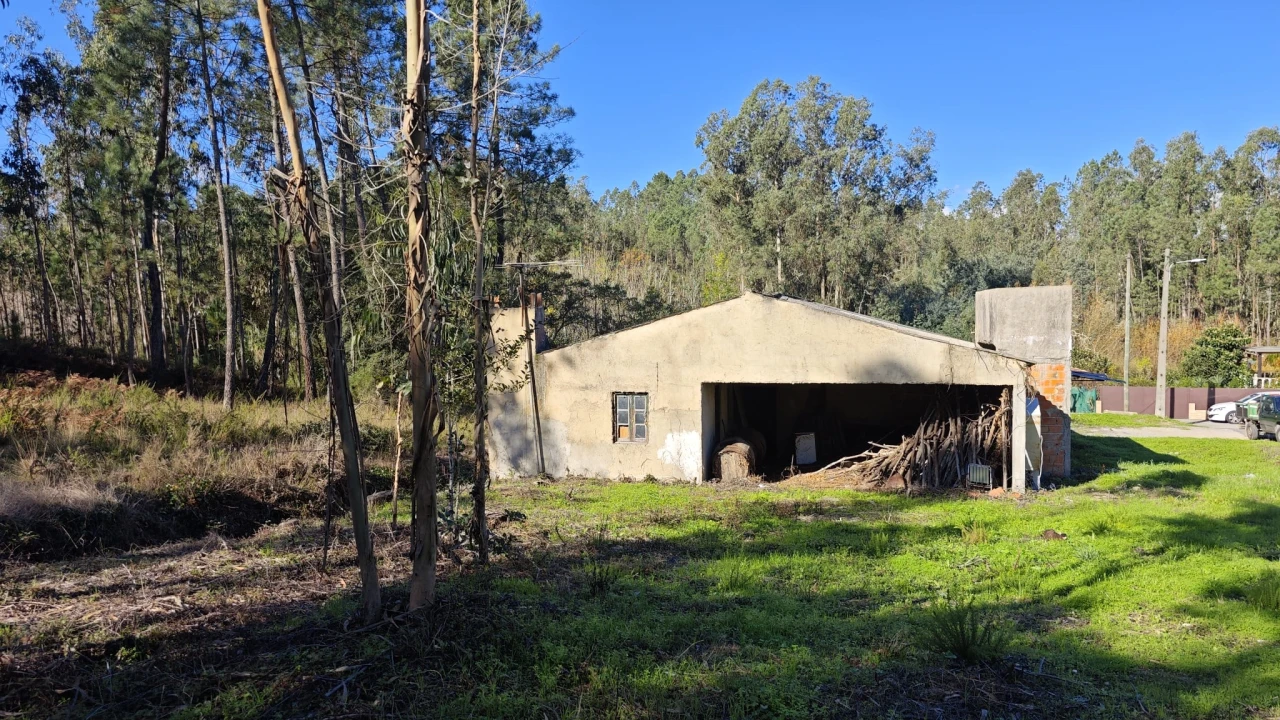 Armazém para Venda em Vilarinho do Bairro Foto 13
