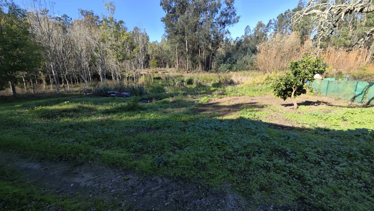 Armazém para Venda em Vilarinho do Bairro Foto 14