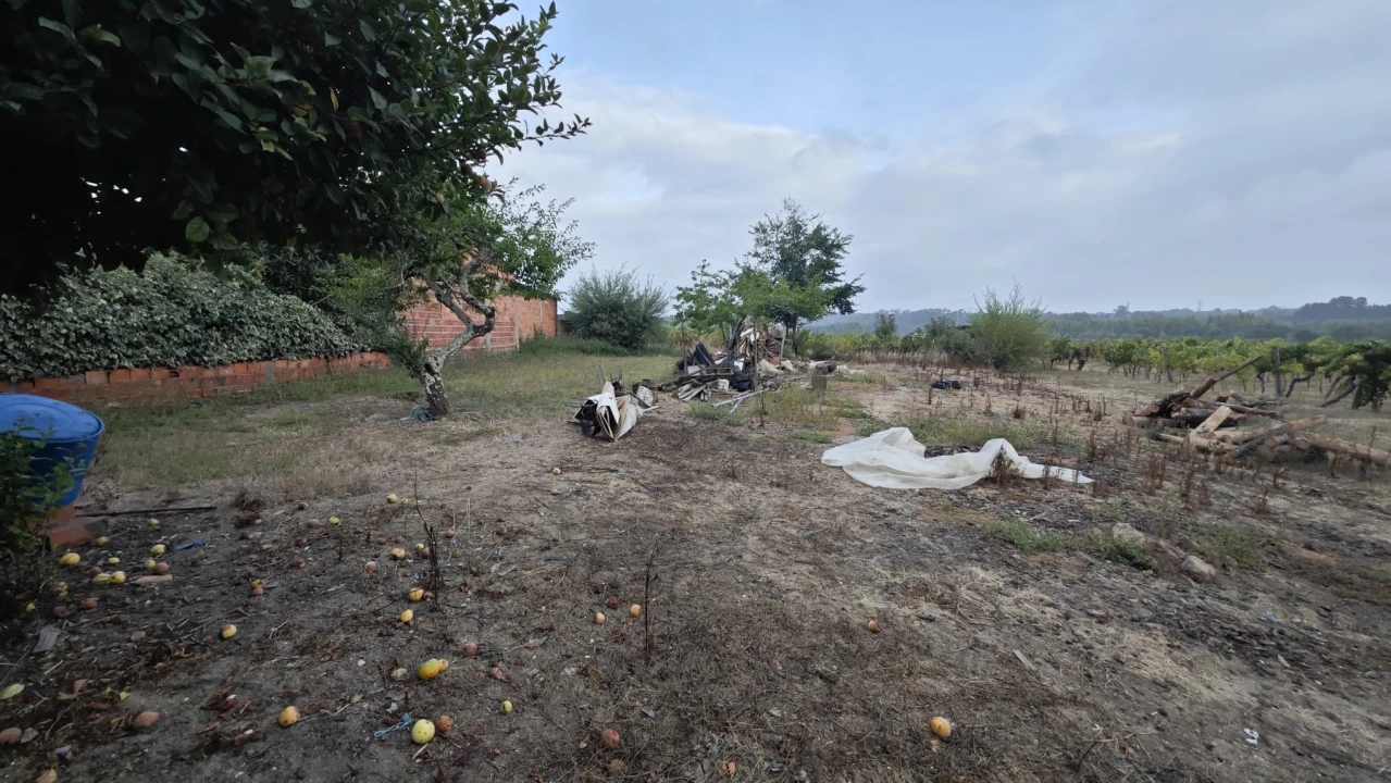 Moradia T3 para Venda em Amoreira da Gândara, Paredes do Bairro e Ancas Foto 23