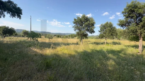Terreno para Venda em Penamacor