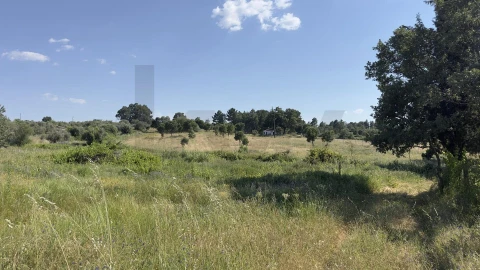 Terreno para Venda em Penamacor