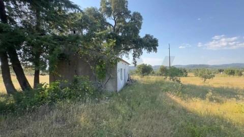 Terreno para Venda em Penamacor
