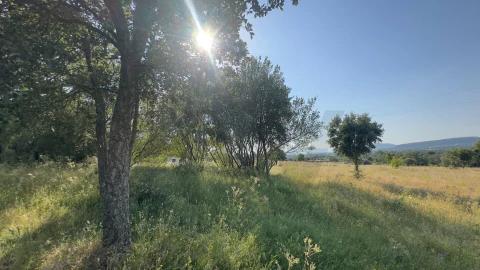 Terreno para Venda em Penamacor