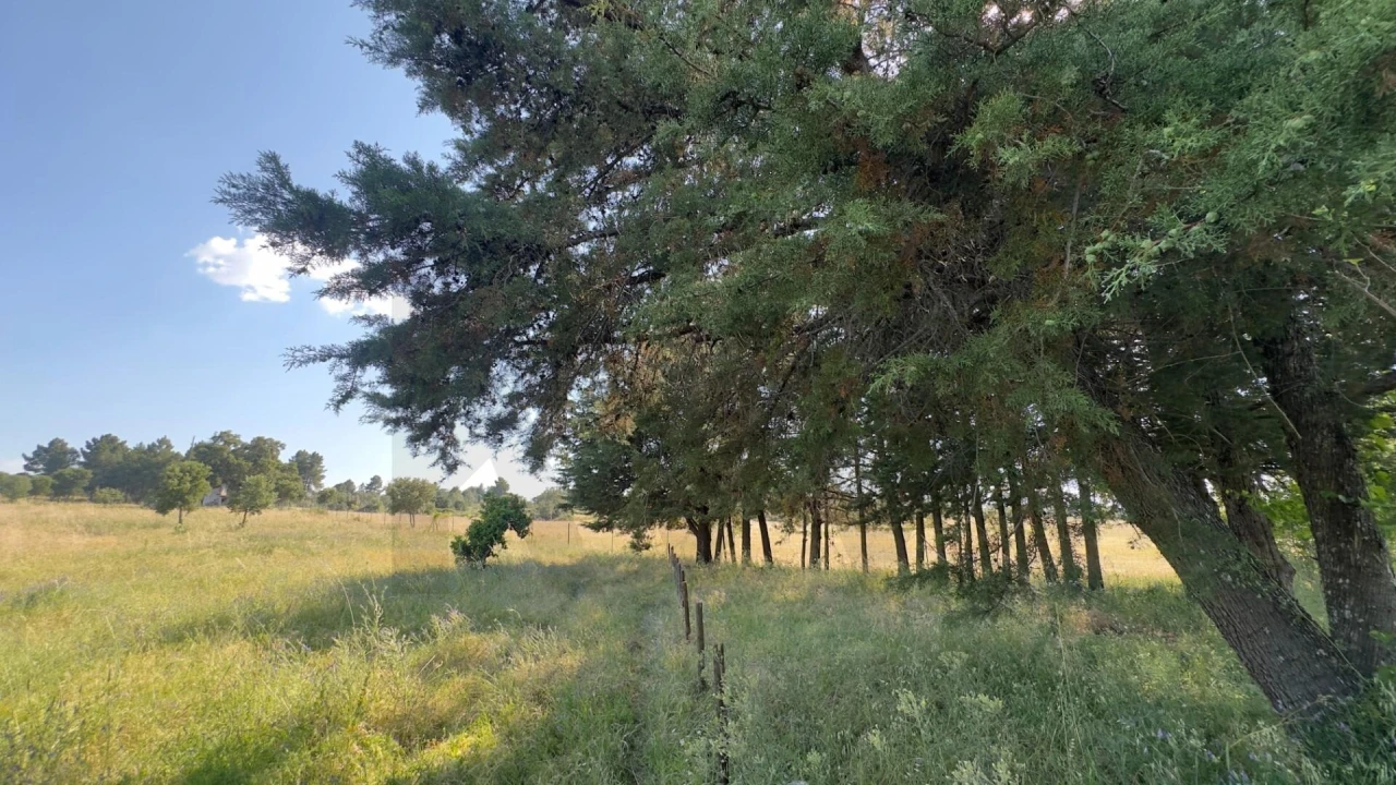Terreno para Venda em Penamacor Foto 5