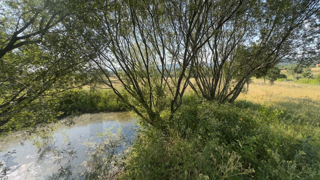 Terreno para Venda em Penamacor Foto 21