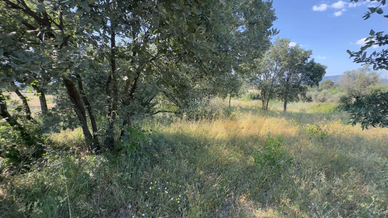 Terreno para Venda em Penamacor Foto 19
