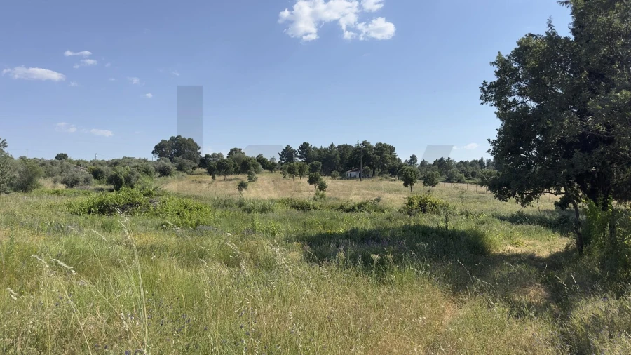 Terreno para Venda em Penamacor Foto 3