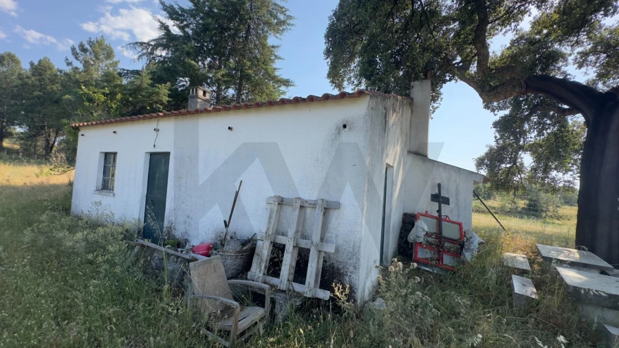 Terreno para Venda em Penamacor Foto 13