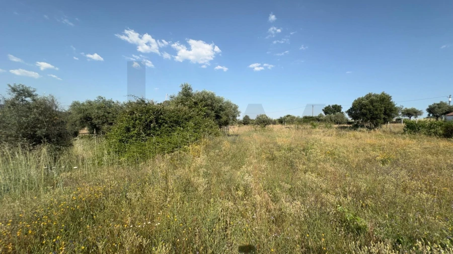 Terreno para Venda em Penamacor Foto 22
