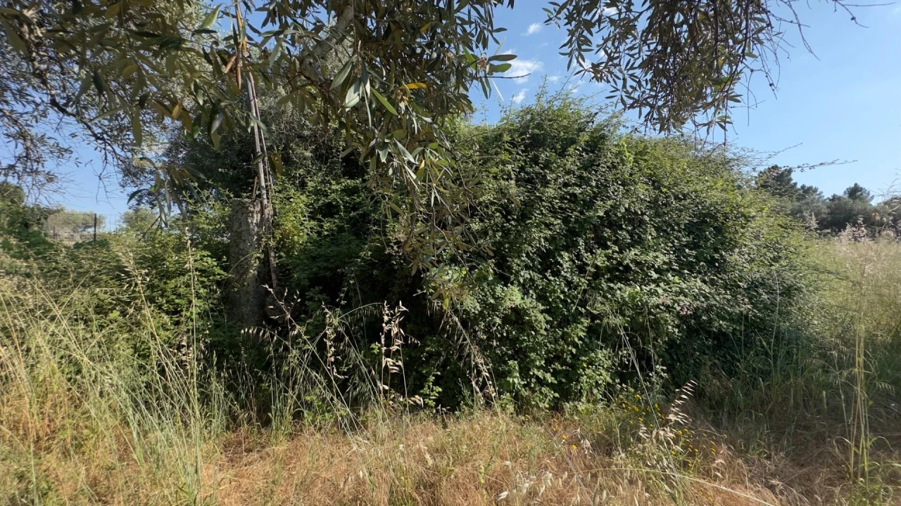 Terreno para Venda em Penamacor Foto 23