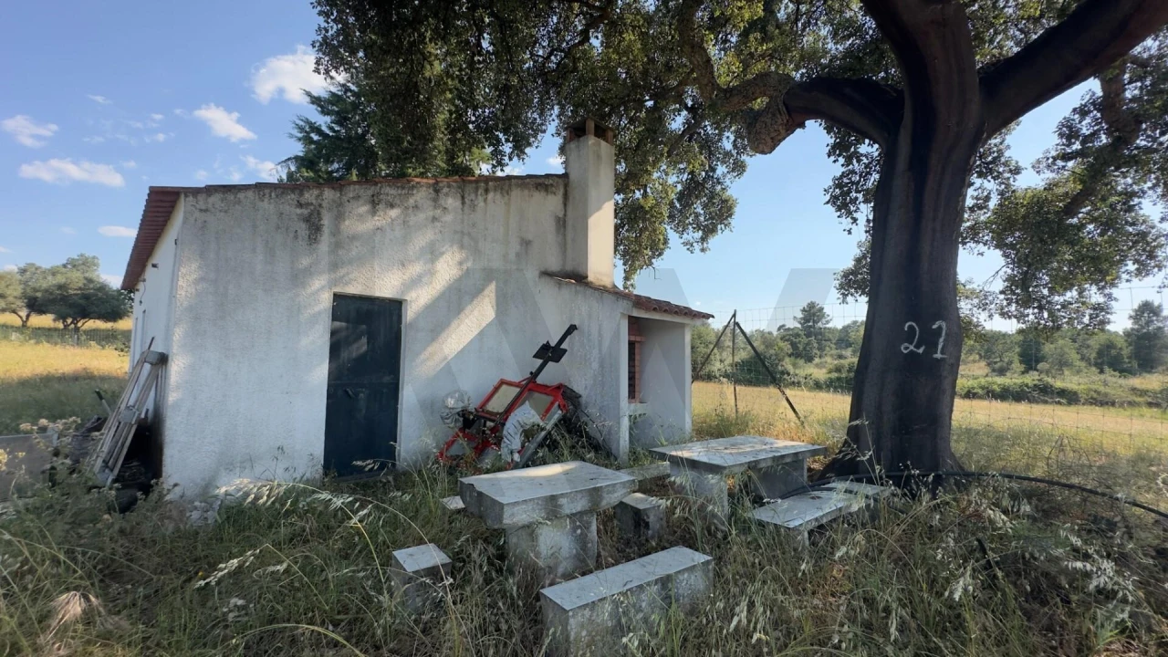 Terreno para Venda em Penamacor Foto 8