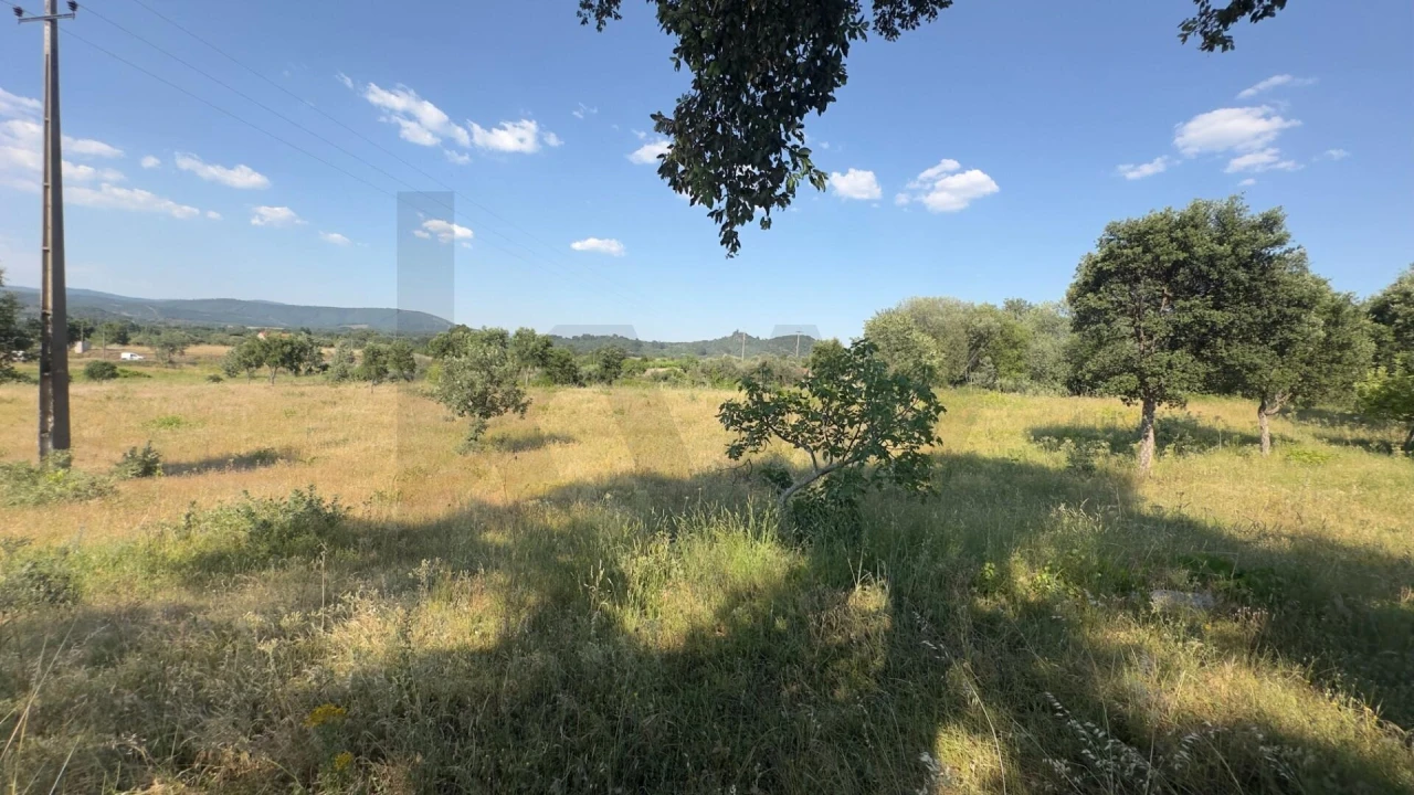Terreno para Venda em Penamacor Foto 12