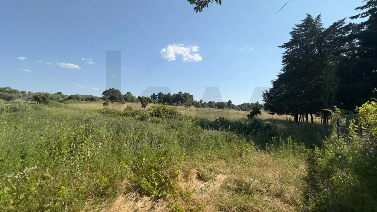 Terreno para Venda em Penamacor Foto 4