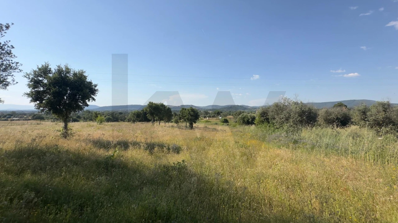 Terreno para Venda em Penamacor Foto 25