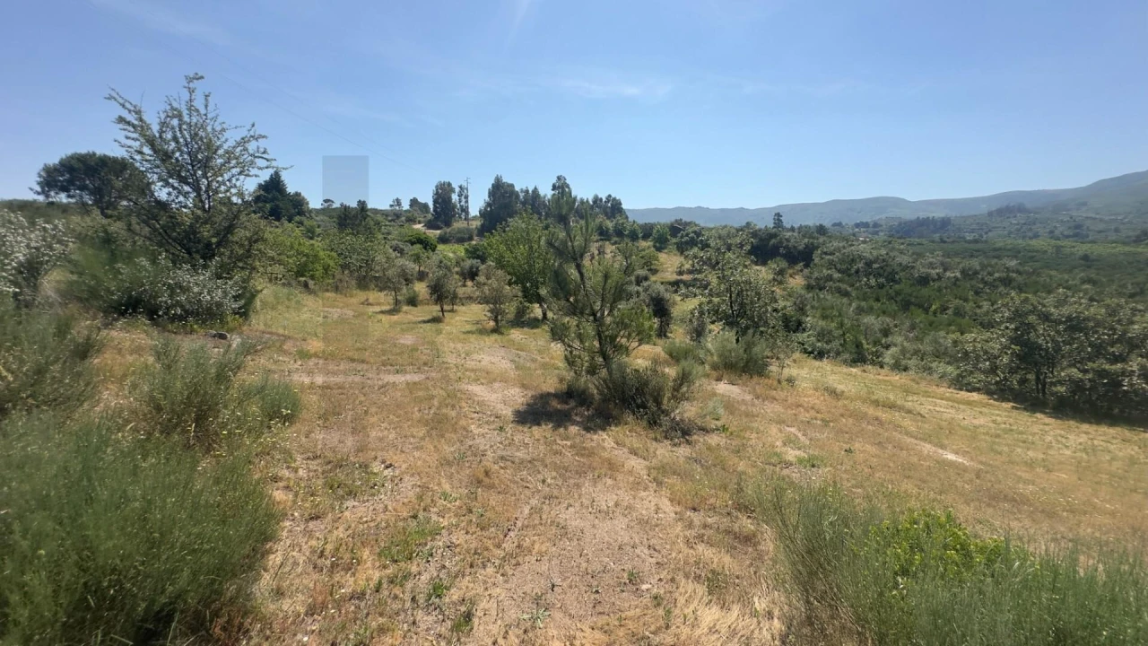 Terreno para Venda em Figueiró da Serra e Freixo da Serra Foto 19