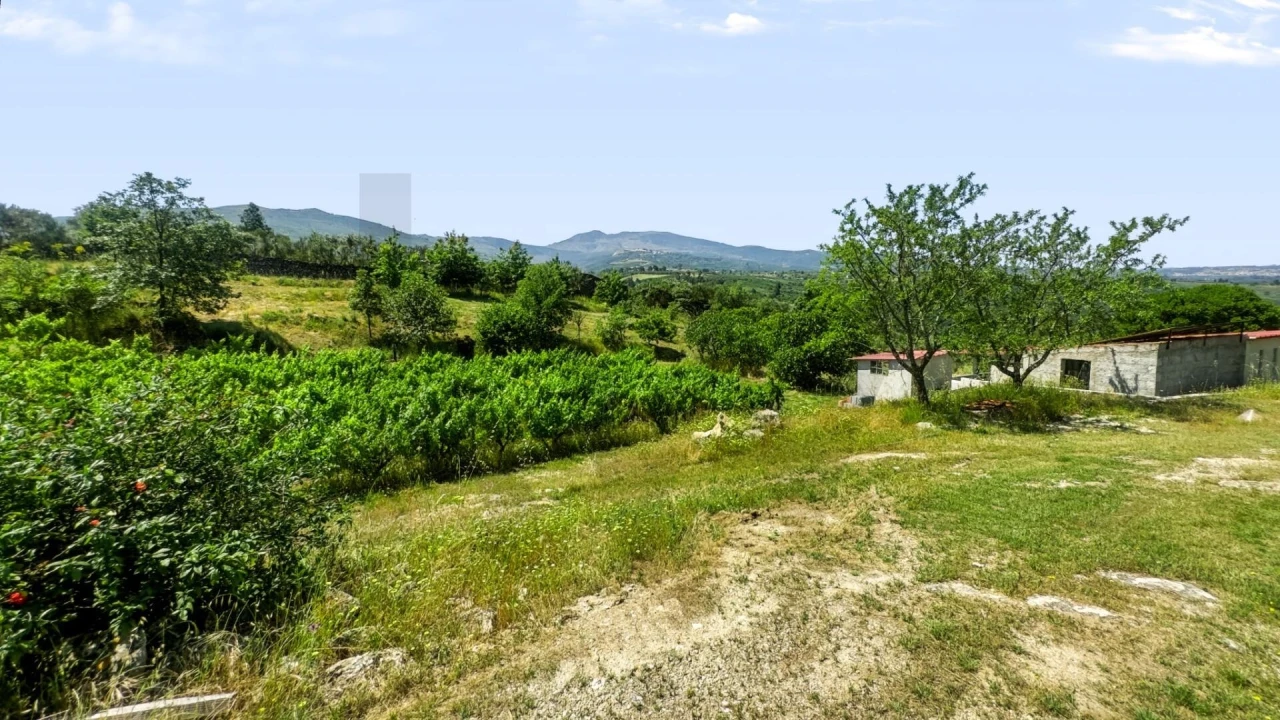 Terreno para Venda em Figueiró da Serra e Freixo da Serra Foto 29