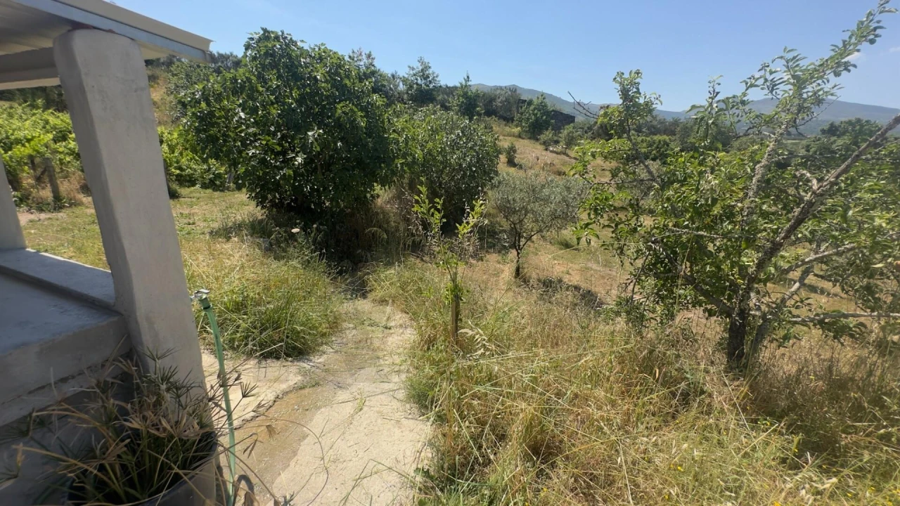 Terreno para Venda em Figueiró da Serra e Freixo da Serra Foto 34