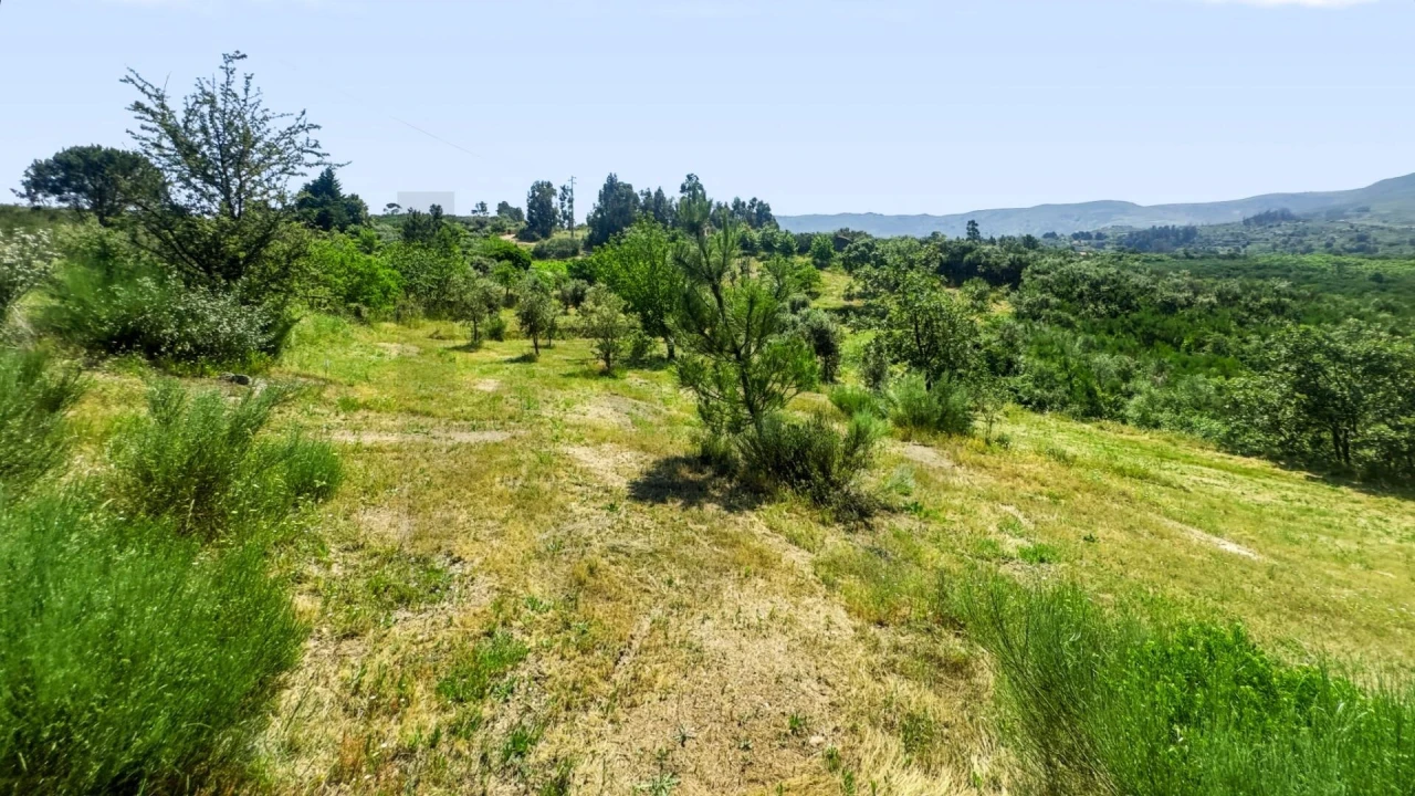 Terreno para Venda em Figueiró da Serra e Freixo da Serra Foto 33