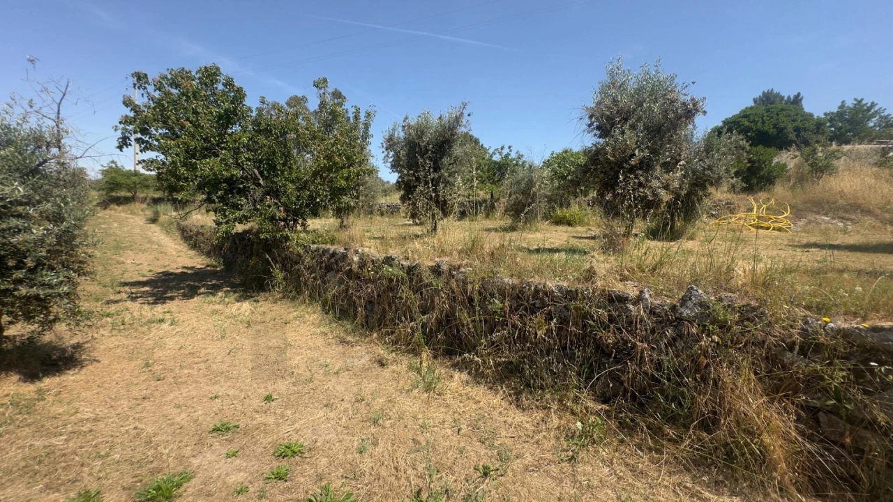 Terreno para Venda em Figueiró da Serra e Freixo da Serra Foto 16