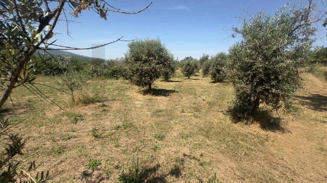 Terreno para Venda em Figueiró da Serra e Freixo da Serra Foto 17