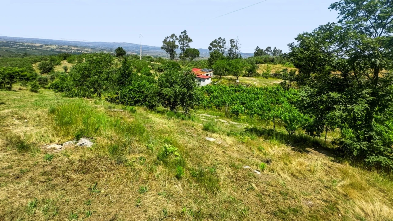 Terreno para Venda em Figueiró da Serra e Freixo da Serra Foto 39