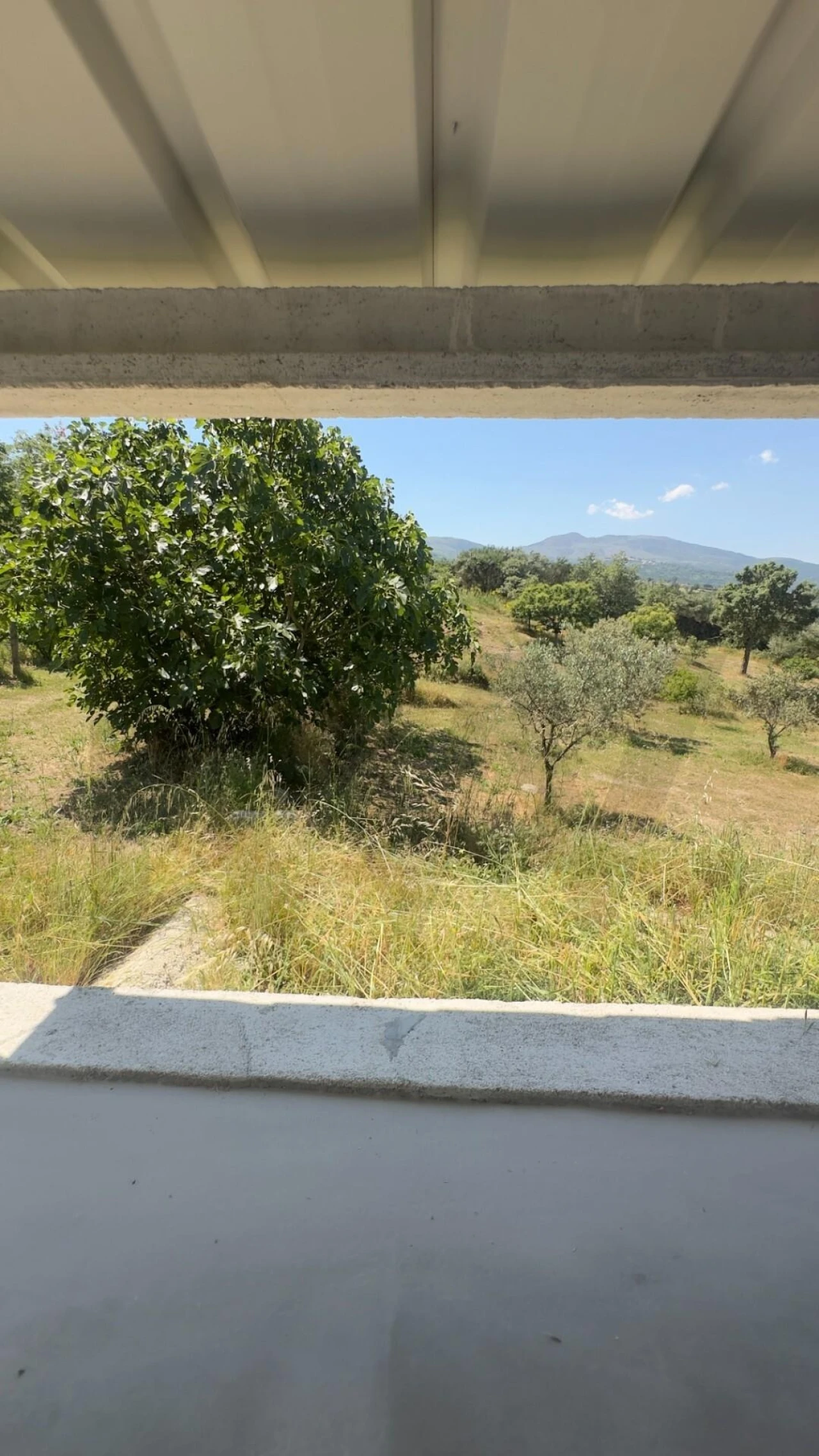 Terreno para Venda em Figueiró da Serra e Freixo da Serra Foto 33
