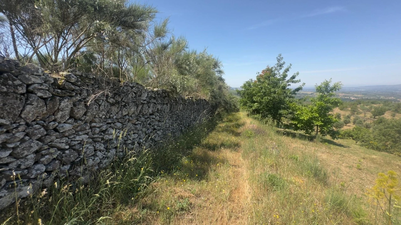 Terreno para Venda em Figueiró da Serra e Freixo da Serra Foto 14
