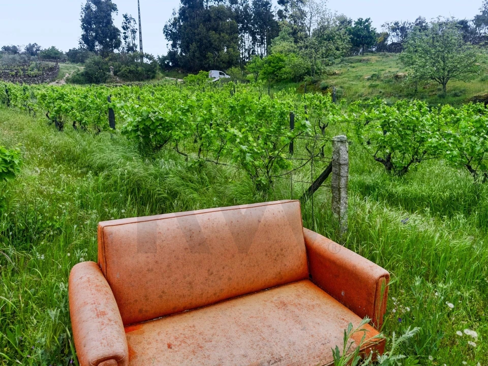 Terreno para Venda em Figueiró da Serra e Freixo da Serra Foto 47