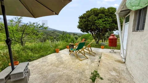 Terreno para Venda em Figueiró da Serra e Freixo da Serra