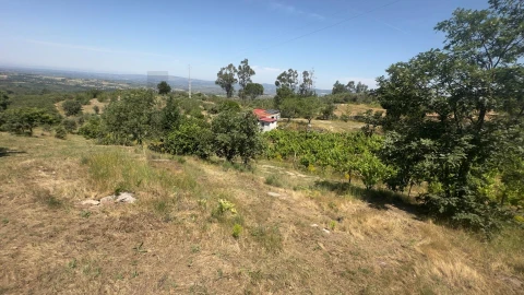 Terreno para Venda em Figueiró da Serra e Freixo da Serra