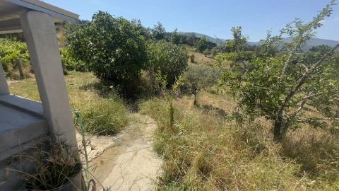 Terreno para Venda em Figueiró da Serra e Freixo da Serra