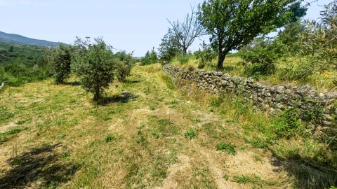 Terreno para Venda em Figueiró da Serra e Freixo da Serra