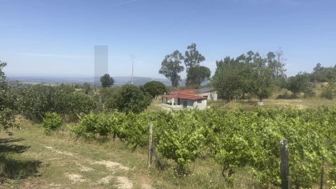 Terreno para Venda em Figueiró da Serra e Freixo da Serra