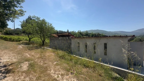 Terreno para Venda em Figueiró da Serra e Freixo da Serra