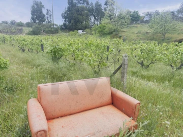 Terreno para Venda em Figueiró da Serra e Freixo da Serra