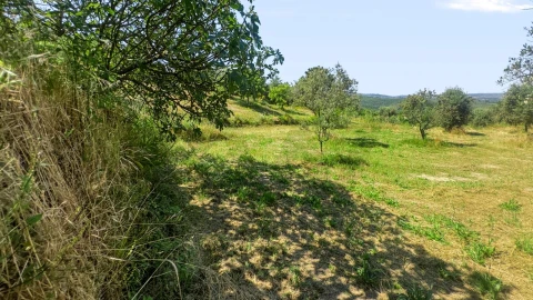 Terreno para Venda em Figueiró da Serra e Freixo da Serra