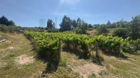 Terreno para Venda em Figueiró da Serra e Freixo da Serra