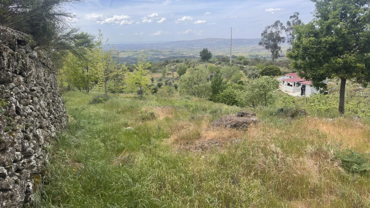 Terreno para Venda em Figueiró da Serra e Freixo da Serra Foto 6
