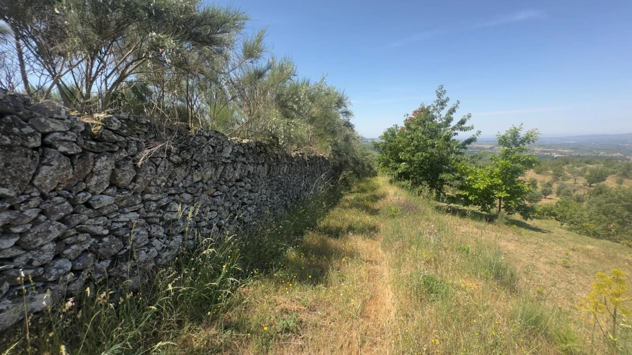 Terreno para Venda em Figueiró da Serra e Freixo da Serra Foto 9