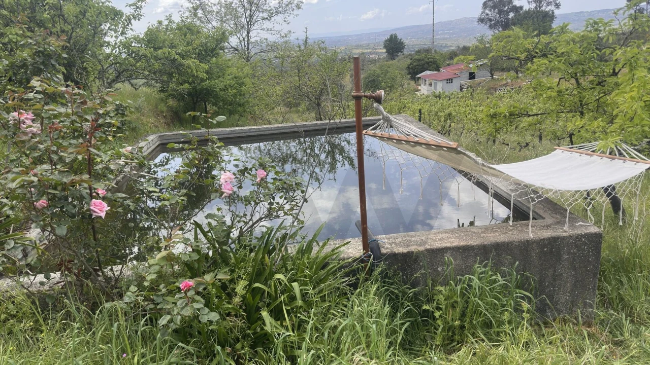 Terreno para Venda em Figueiró da Serra e Freixo da Serra Foto 4
