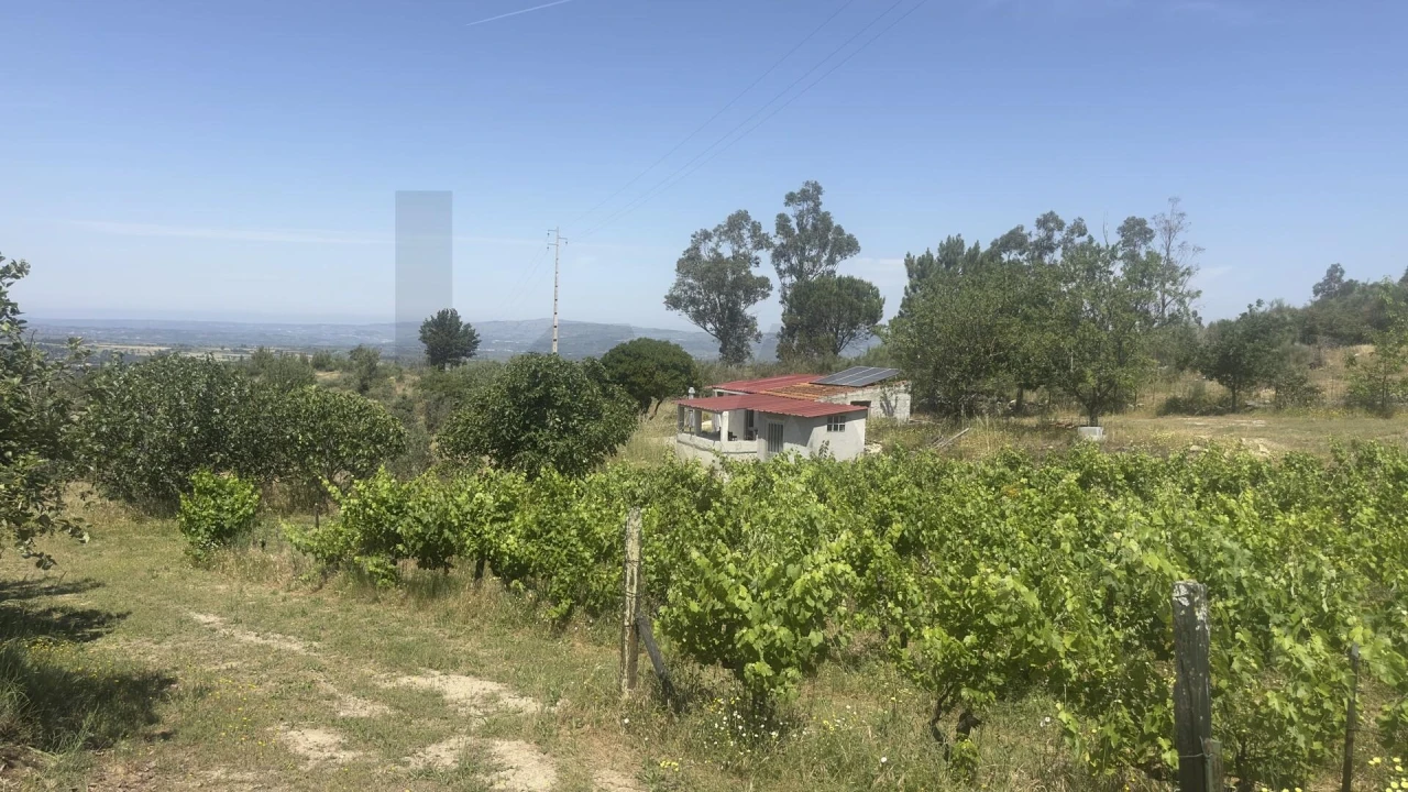 Terreno para Venda em Figueiró da Serra e Freixo da Serra Foto 1