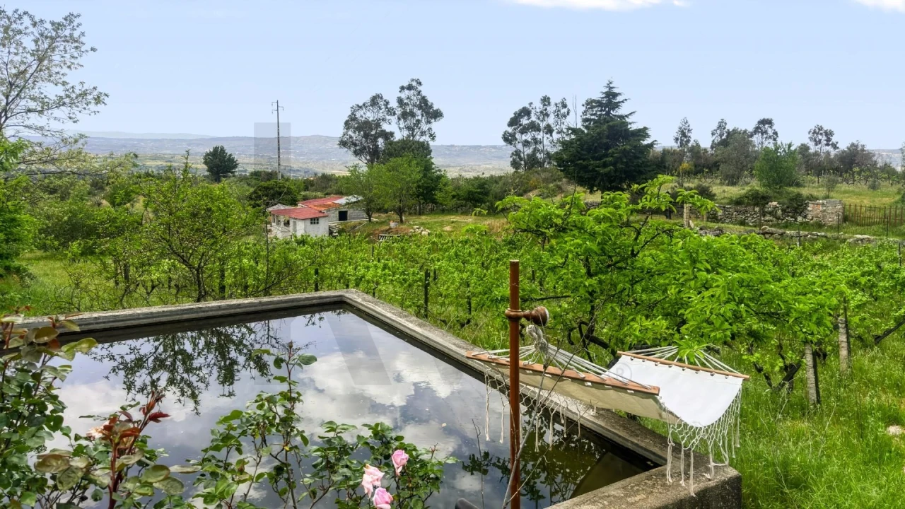 Terreno para Venda em Figueiró da Serra e Freixo da Serra Foto 44