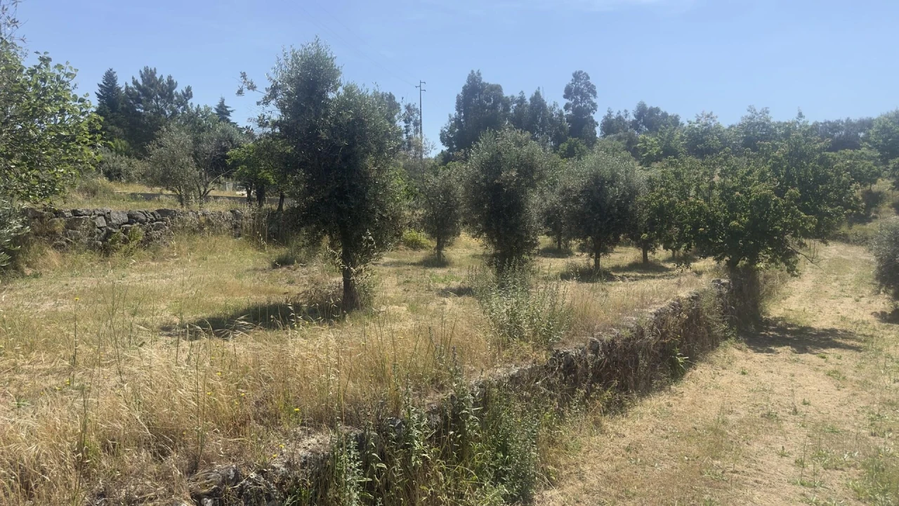 Terreno para Venda em Figueiró da Serra e Freixo da Serra Foto 20