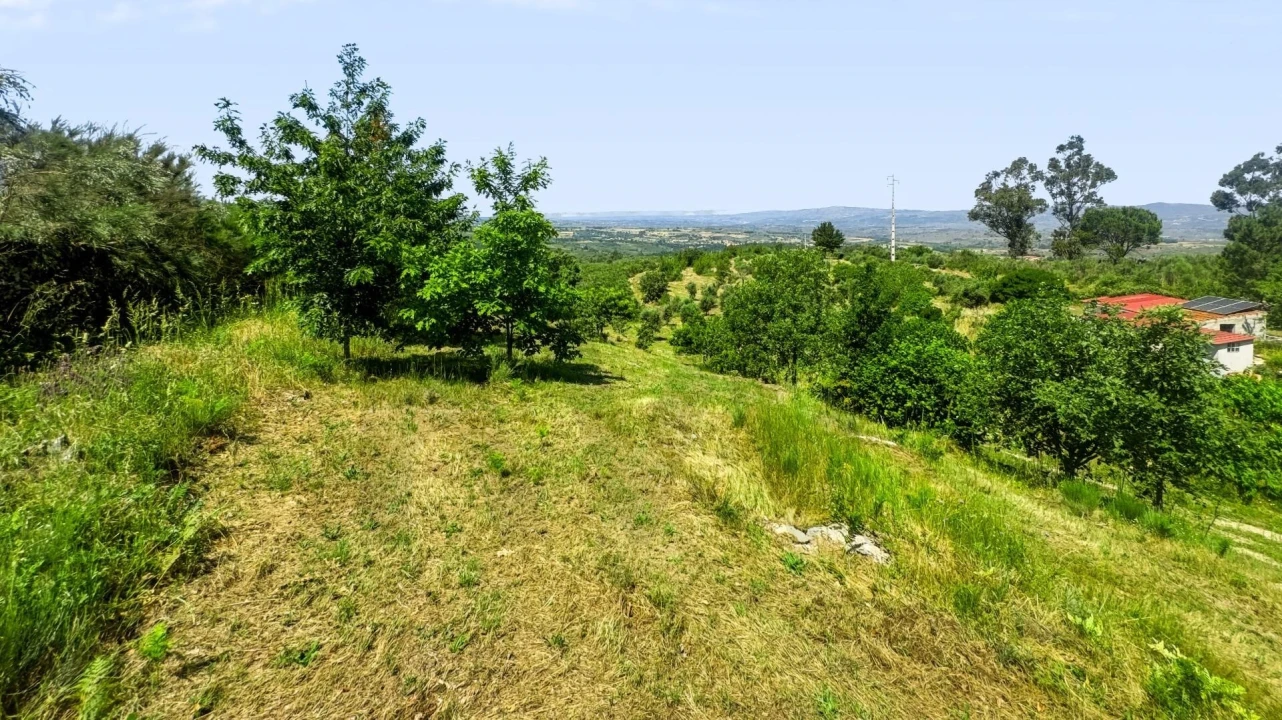 Terreno para Venda em Figueiró da Serra e Freixo da Serra Foto 40